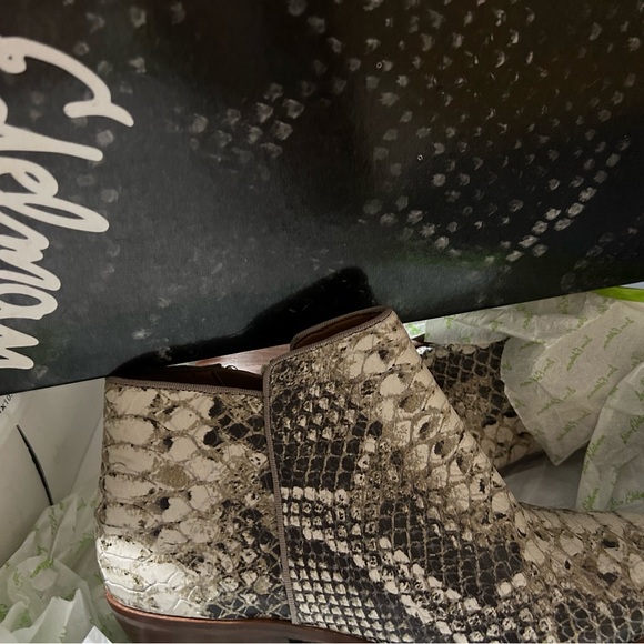 Roccia Python - Picture 3 of 4